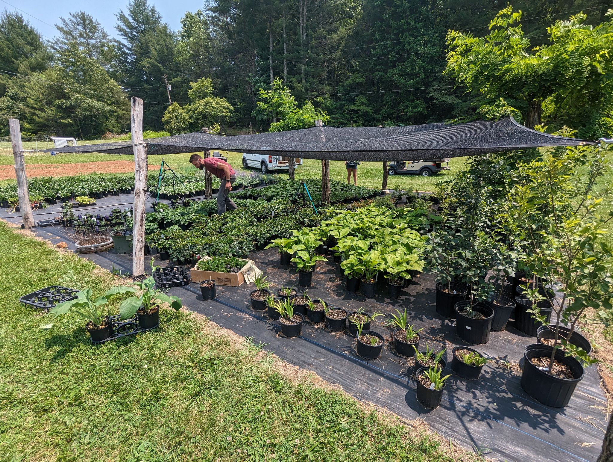 Fed Cove Farm and Nursery